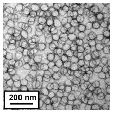 Transmission Electron Microscopy image of nanolatex particles prepared by aqueous dispersion polymerisation. Image courtesy of Prof. Steve Armes of Sheffield University,
